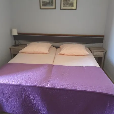 拉维埃耶旅游住宿加早餐旅馆 萨拉瓦斯