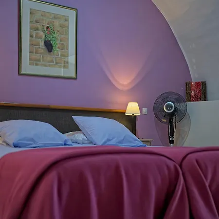 拉维埃耶旅游住宿加早餐旅馆 3* 萨拉瓦斯